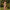 Warm Sandy Maxi Dress