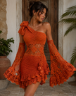 Terracotta One Shoulder Mini Dress